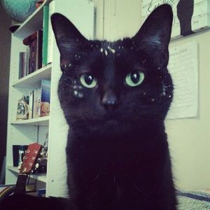 Meet your Posher, Erich